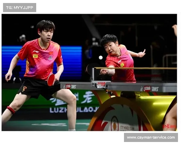 2016乒乓球比赛视频 2016乒乓球比赛视频