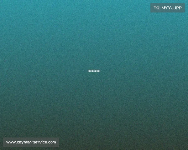 全面禁止电子游戏