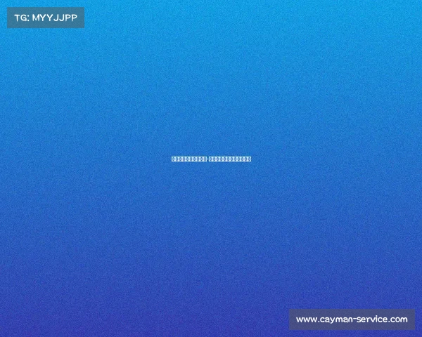 本来就是一场电子竞技-本来就是一场电子竞技英语