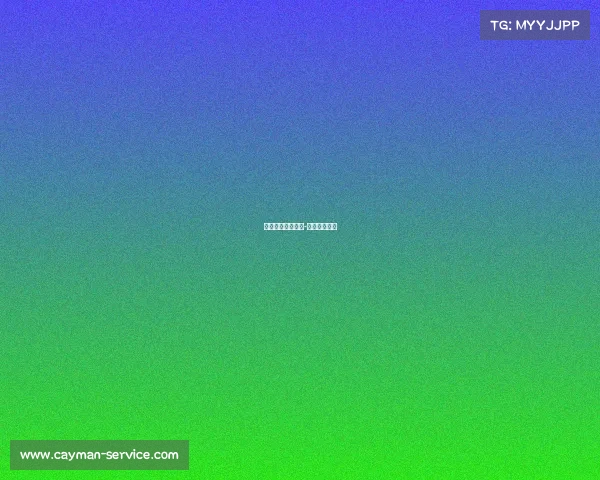 电子竞技厂长出境-电子竞技老板